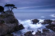 West Coast